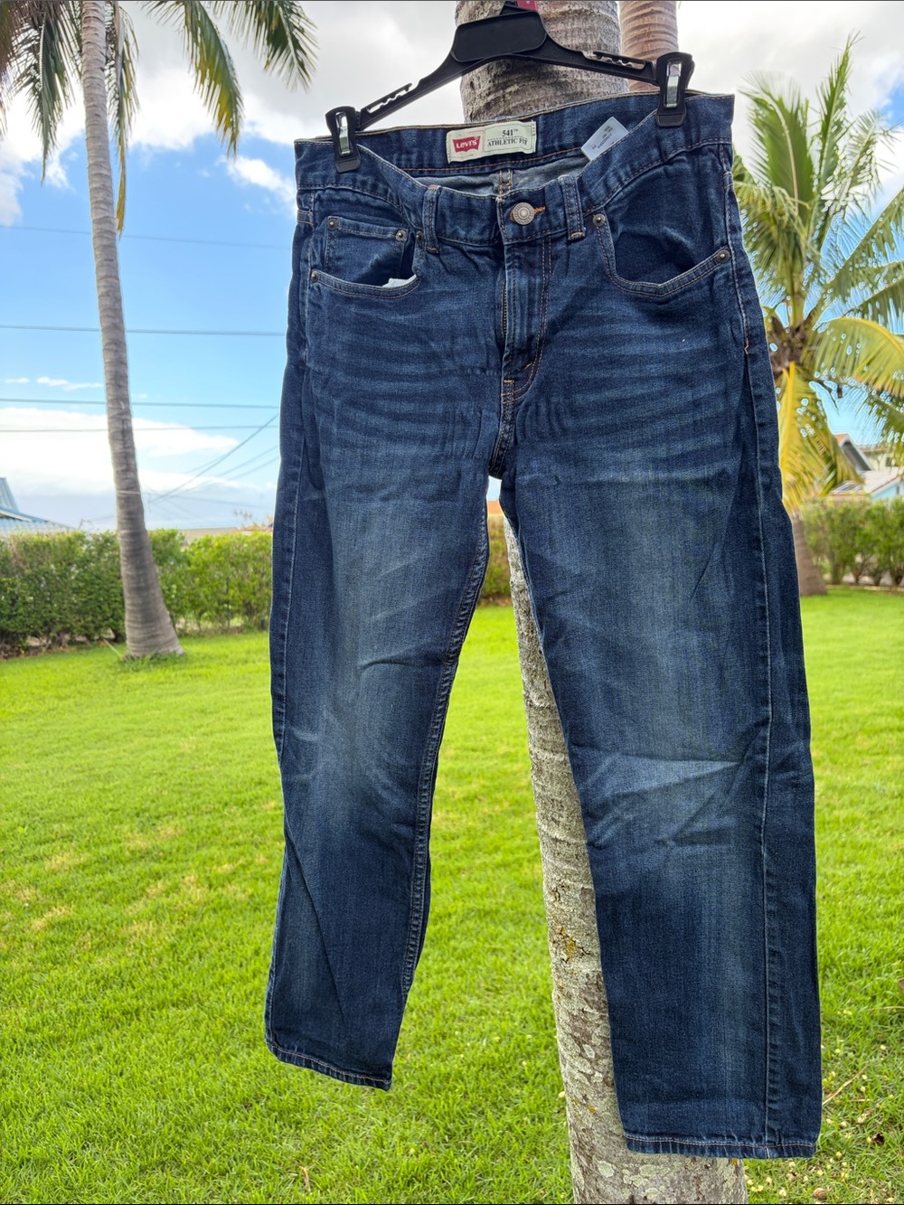 Levi's Men's Dark Indigo Straight Jeans
